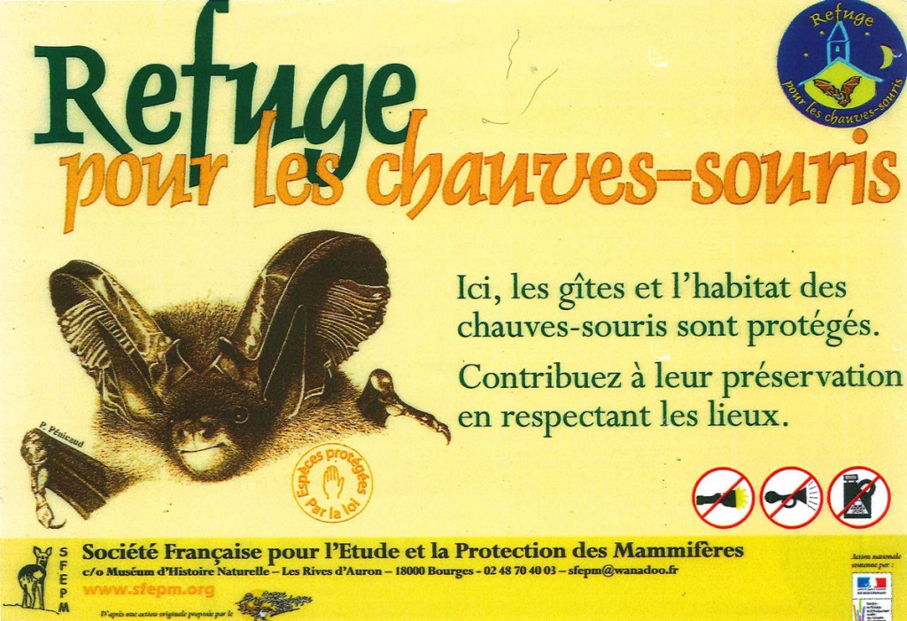 REFUGE-CHAUVE-SOURIS-1