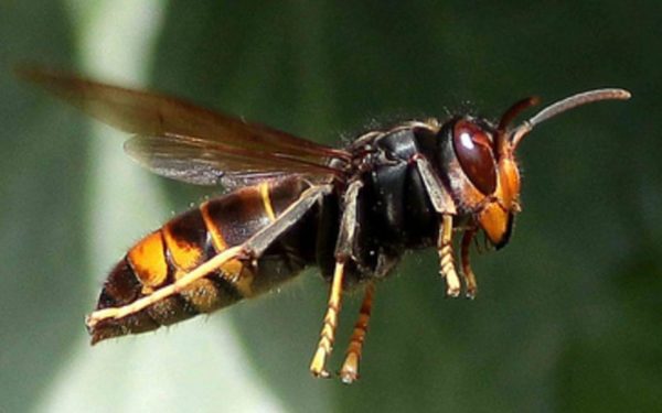 7YDL6YYY66BHV2F64YIQDUBRAE