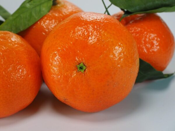 clementines-795777_640